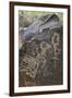 Petroglyph National Monument, Petroglyphs, New Mexico, USA-null-Framed Giclee Print