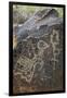 Petroglyph National Monument, Petroglyphs, New Mexico, USA-null-Framed Giclee Print