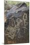 Petroglyph National Monument, Petroglyphs, New Mexico, USA-null-Mounted Giclee Print