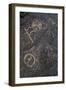 Petroglyph National Monument, Petroglyphs, New Mexico, USA-null-Framed Giclee Print