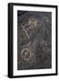 Petroglyph National Monument, Petroglyphs, New Mexico, USA-null-Framed Giclee Print