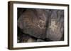 Petroglyph National Monument, Petroglyphs, New Mexico, USA-null-Framed Giclee Print