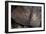 Petroglyph National Monument, Petroglyphs, New Mexico, USA-null-Framed Giclee Print