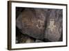 Petroglyph National Monument, Petroglyphs, New Mexico, USA-null-Framed Giclee Print