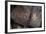 Petroglyph National Monument, Petroglyphs, New Mexico, USA-null-Framed Giclee Print