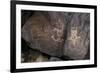 Petroglyph National Monument, Petroglyphs, New Mexico, USA-null-Framed Giclee Print