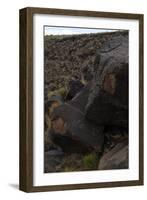 Petroglyph National Monument, Petroglyphs, New Mexico, USA-null-Framed Giclee Print