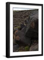 Petroglyph National Monument, Petroglyphs, New Mexico, USA-null-Framed Giclee Print