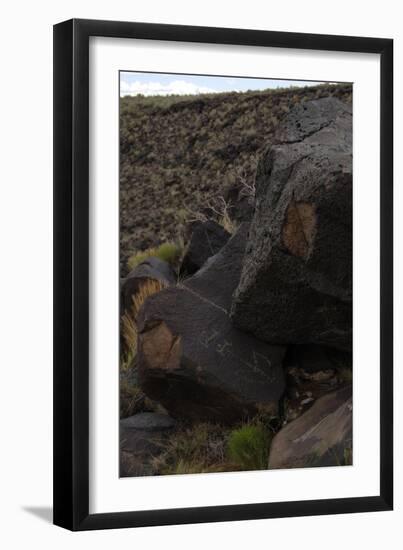 Petroglyph National Monument, Petroglyphs, New Mexico, USA-null-Framed Giclee Print