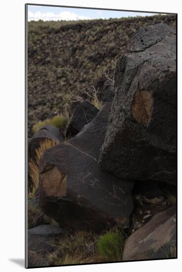 Petroglyph National Monument, Petroglyphs, New Mexico, USA-null-Mounted Giclee Print