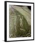 Petroglyph with two men facing each other and brandishing axes, Bronze Age-Werner Forman-Framed Giclee Print