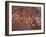 Petroglyphs, Albuquerque, New Mexico, USA-Rob Tilley-Framed Photographic Print