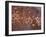 Petroglyphs, Albuquerque, New Mexico, USA-Rob Tilley-Framed Photographic Print