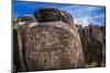 Petroglyphs at Three Rivers Petroglyph Site, Three Rivers, New Mexico, Usa-Russ Bishop-Mounted Photographic Print