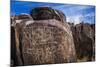 Petroglyphs at Three Rivers Petroglyph Site, Three Rivers, New Mexico, Usa-Russ Bishop-Mounted Photographic Print