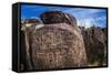 Petroglyphs at Three Rivers Petroglyph Site, Three Rivers, New Mexico, Usa-Russ Bishop-Framed Stretched Canvas