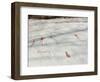 Petroglyphs, Boat-Axe culture, pre-Viking, Vitlycke, Bohuslan, Sweden, Bronze Age-Werner Forman-Framed Photographic Print