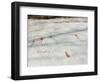 Petroglyphs, Boat-Axe culture, pre-Viking, Vitlycke, Bohuslan, Sweden, Bronze Age-Werner Forman-Framed Photographic Print