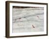 Petroglyphs, Boat-Axe culture, pre-Viking, Vitlycke, Bohuslan, Sweden, Bronze Age-Werner Forman-Framed Photographic Print