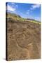 Petroglyphs Carved in the Lava at the 15 Moai Restored Ceremonial Site of Ahu Tongariki-Michael-Stretched Canvas