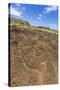 Petroglyphs Carved in the Lava at the 15 Moai Restored Ceremonial Site of Ahu Tongariki-Michael-Stretched Canvas