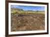 Petroglyphs Carved in the Lava at the 15 Moai Restored Ceremonial Site of Ahu Tongariki-Michael-Framed Photographic Print