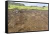 Petroglyphs Carved in the Lava at the 15 Moai Restored Ceremonial Site of Ahu Tongariki-Michael Nolan-Framed Stretched Canvas