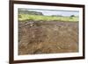 Petroglyphs Carved in the Lava at the 15 Moai Restored Ceremonial Site of Ahu Tongariki-Michael Nolan-Framed Photographic Print