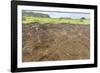 Petroglyphs Carved in the Lava at the 15 Moai Restored Ceremonial Site of Ahu Tongariki-Michael Nolan-Framed Photographic Print