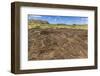 Petroglyphs Carved in the Lava at the 15 Moai Restored Ceremonial Site of Ahu Tongariki-Michael-Framed Photographic Print