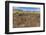 Petroglyphs Carved in the Lava at the 15 Moai Restored Ceremonial Site of Ahu Tongariki-Michael-Framed Photographic Print