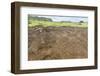 Petroglyphs Carved in the Lava at the 15 Moai Restored Ceremonial Site of Ahu Tongariki-Michael Nolan-Framed Photographic Print