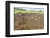 Petroglyphs Carved in the Lava at the 15 Moai Restored Ceremonial Site of Ahu Tongariki-Michael Nolan-Framed Photographic Print