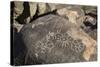 Petroglyphs, Created by the Prehistoric Hohokam People, About 1000 Years Ago-Richard Maschmeyer-Stretched Canvas