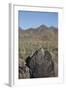 Petroglyphs, Created by the Prehistoric Hohokam People, About 1000 Years Ago-Richard Maschmeyer-Framed Photographic Print