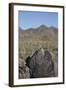 Petroglyphs, Created by the Prehistoric Hohokam People, About 1000 Years Ago-Richard Maschmeyer-Framed Photographic Print