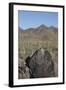 Petroglyphs, Created by the Prehistoric Hohokam People, About 1000 Years Ago-Richard Maschmeyer-Framed Photographic Print