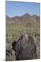 Petroglyphs, Created by the Prehistoric Hohokam People, About 1000 Years Ago-Richard Maschmeyer-Mounted Photographic Print