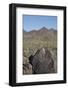 Petroglyphs, Created by the Prehistoric Hohokam People, About 1000 Years Ago-Richard Maschmeyer-Framed Photographic Print