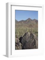 Petroglyphs, Created by the Prehistoric Hohokam People, About 1000 Years Ago-Richard Maschmeyer-Framed Photographic Print