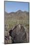 Petroglyphs, Created by the Prehistoric Hohokam People, About 1000 Years Ago-Richard Maschmeyer-Mounted Photographic Print