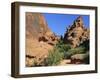 Petroglyphs Drawn in Sandstone by Anasazi Indians Around 500 Ad, Valley of Fire State Park, Nevada-Fraser Hall-Framed Photographic Print