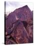 Petroglyphs in Gurvansaikhan National Park, Gobi Desert, Mongolia-Gavriel Jecan-Stretched Canvas