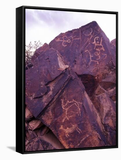 Petroglyphs in Gurvansaikhan National Park, Gobi Desert, Mongolia-Gavriel Jecan-Framed Stretched Canvas