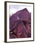 Petroglyphs in Gurvansaikhan National Park, Gobi Desert, Mongolia-Gavriel Jecan-Framed Premium Photographic Print