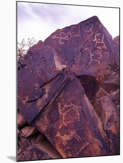 Petroglyphs in Gurvansaikhan National Park, Gobi Desert, Mongolia-Gavriel Jecan-Mounted Premium Photographic Print