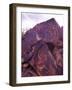 Petroglyphs in Gurvansaikhan National Park, Gobi Desert, Mongolia-Gavriel Jecan-Framed Photographic Print