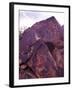 Petroglyphs in Gurvansaikhan National Park, Gobi Desert, Mongolia-Gavriel Jecan-Framed Photographic Print