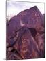 Petroglyphs in Gurvansaikhan National Park, Gobi Desert, Mongolia-Gavriel Jecan-Mounted Photographic Print