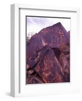 Petroglyphs in Gurvansaikhan National Park, Gobi Desert, Mongolia-Gavriel Jecan-Framed Photographic Print